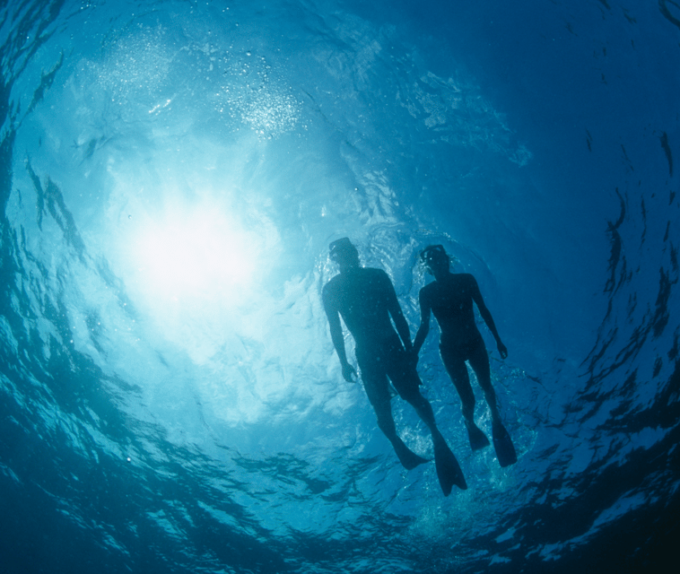 Mallorca: Visit Palma Speedboat adrenaline & snorkelling - Booking and cancellation details
