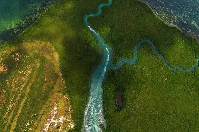 Mangrove and Lagoon Speed Boat Tour - What the two-hour route actually feels like