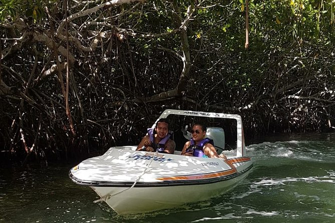 Mangrove and Lagoon Speed Boat Tour - Who will enjoy this outing most?