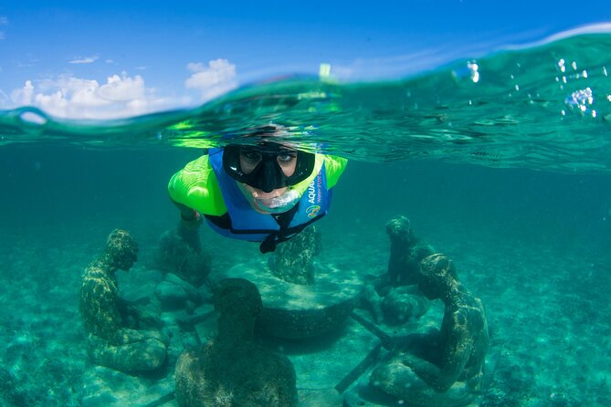 Mangrove Jungle Speedboat Experience - The $49 price, plus the costs that matter