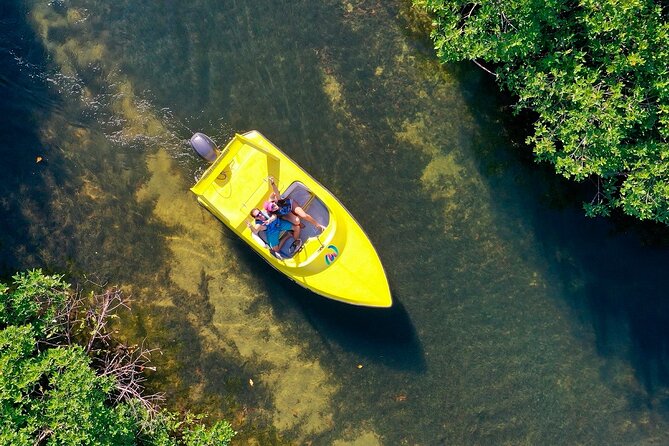 Mangrove Jungle Speedboat Experience - Fitness, weather, and comfort concerns
