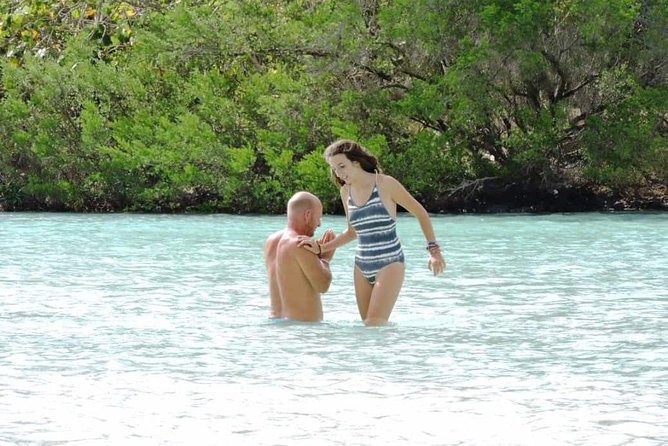 Marvelous Ile aux Cerf island: Speed Boat, Parasailing, Lunch & GRSE waterfall - The GRSE Waterfalls and river scenery
