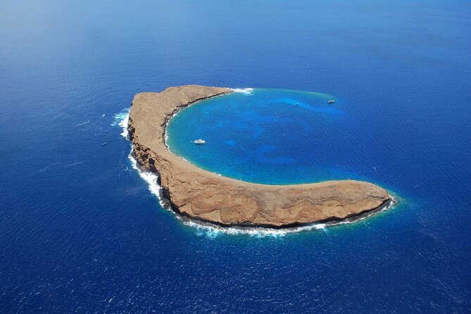 Maui Snorkel Adventure: Molokini Crater and Turtle Cove - Key points to know before you book