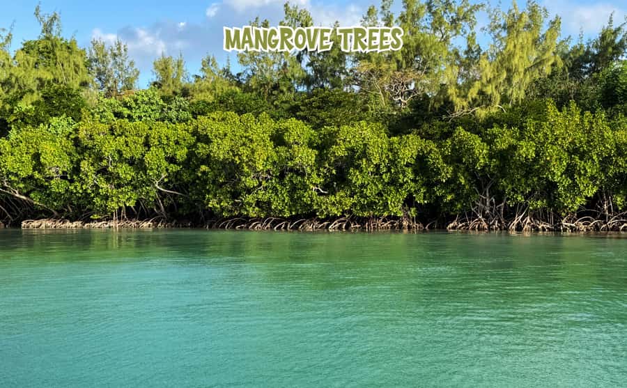 Mauritius: 5 Islands of the East Speedboat Tour with BBQ - Key points at a glance