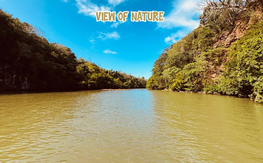 Mauritius: 5 Islands of the East Speedboat Tour with BBQ - BBQ lunch near Île aux Cerfs