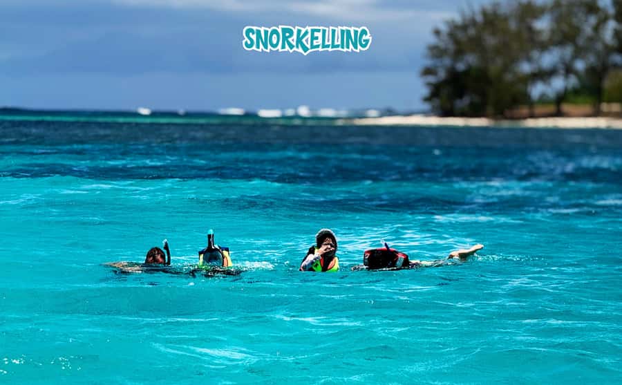 Mauritius: Benitier Island - Swim Dolphins - Speedboat & BBQ - Who should book this Mauritius boat trip?