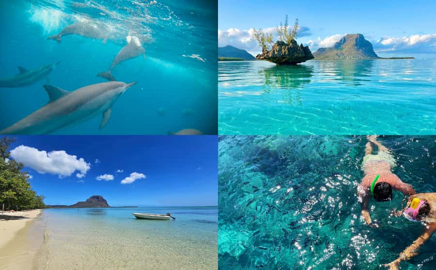 Mauritius: Benitier Island - Swim Dolphins - Speedboat & BBQ - Searching for dolphins in open water