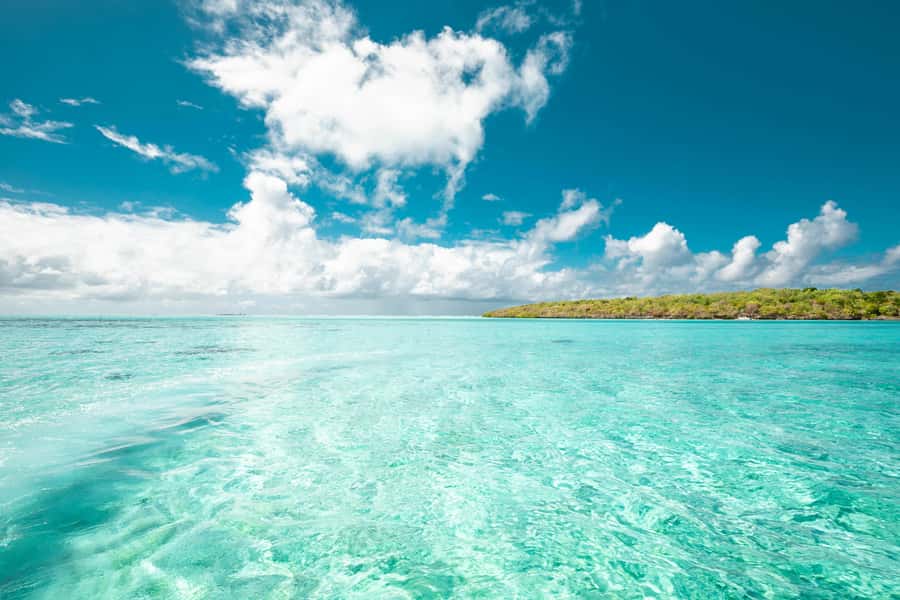 Mauritius: Full-Day Speedboat Tour to Ile aux Cerfs & BBQ - Snorkeling in the clear lagoon