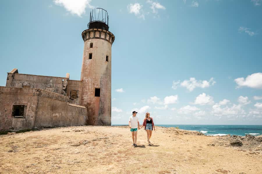 Mauritius: Full-Day Speedboat Tour to Ile aux Cerfs & BBQ - The last swim at Île aux Aigrettes