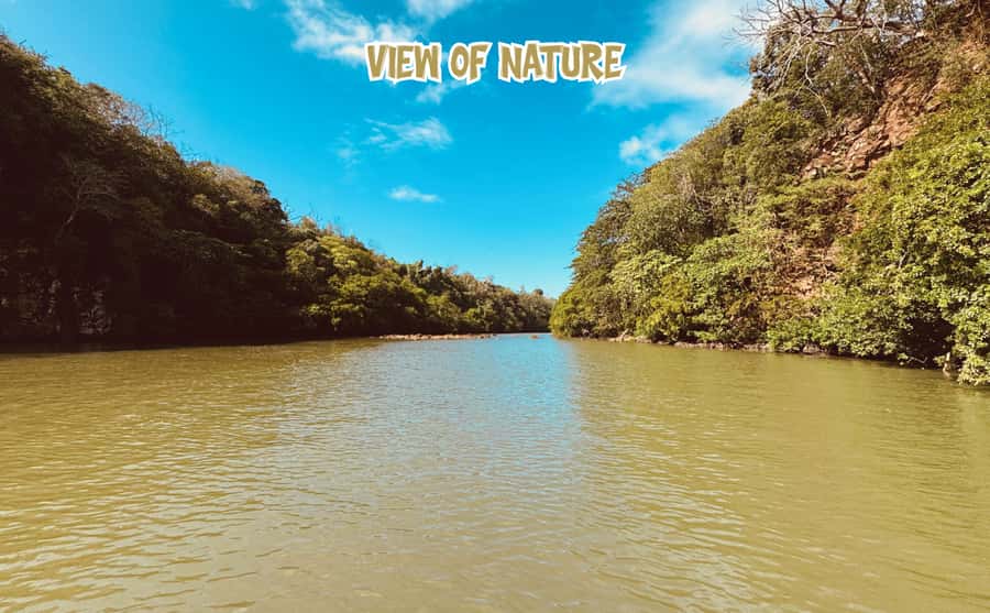 Mauritius: Ile aux Cerfs Speedboat Tour with Lunch & Drinks - What $65 gets you, and where the value weakens