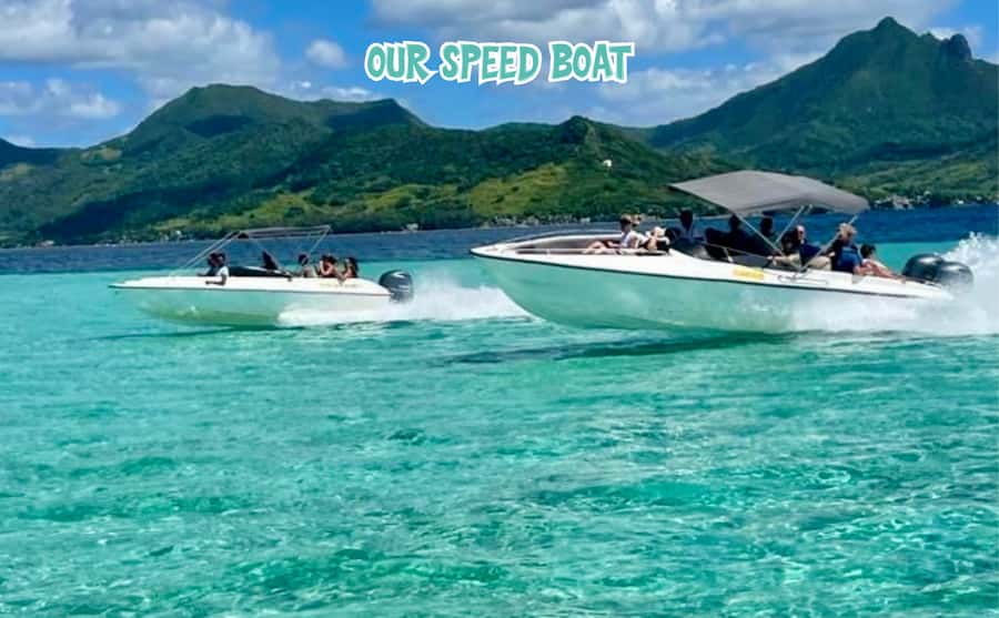 Mauritius: Ile aux Cerfs Speedboat Tour with Lunch & Drinks - Through the mangroves on the east coast