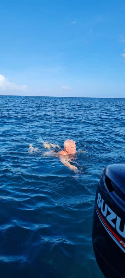 Mauritius: Snorkel and Swim with Dolphins on Speedboat Tour - Setting out from Tamarin Beach