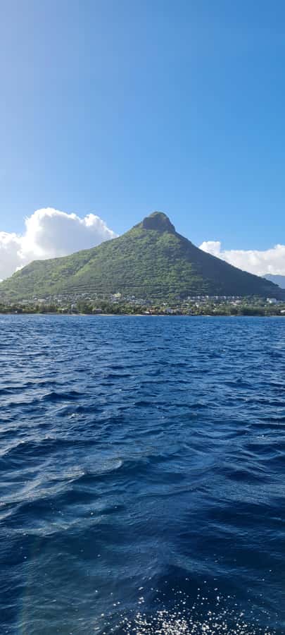 Mauritius: Snorkel and Swim with Dolphins on Speedboat Tour - Who should book this Tamarin Beach tour