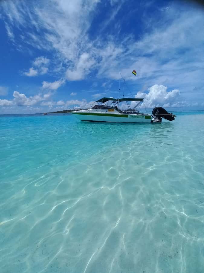 Mauritius: Snorkeling with turtles Le Transporteur speedboat - What the two hours actually feel like