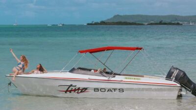 Mauritius: Speedboat Tour to Ile aux Cerfs with Lunch