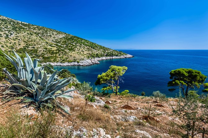 Mesmerizing Hvar speed boat tour with optional wine tasting - Is $659.41 a fair price?