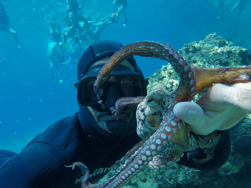 Milos: Half-Day Speedboat Cruise to Klefiko with Snorkeling - Snorkeling on the wild west coast