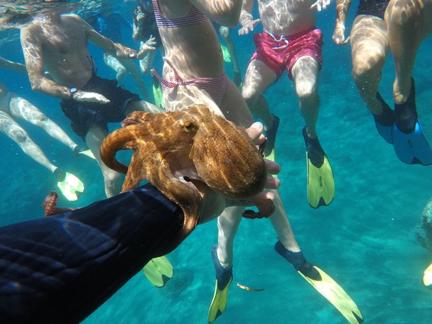 Milos: Half-Day Speedboat Cruise to Klefiko with Snorkeling - The ride back past Cape Vani and Klima