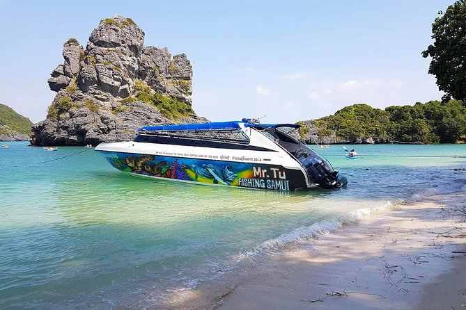 Mr. Tu Day Trip to Angthong Marine Park by Speed Boat from Koh Samui - Key points before you book