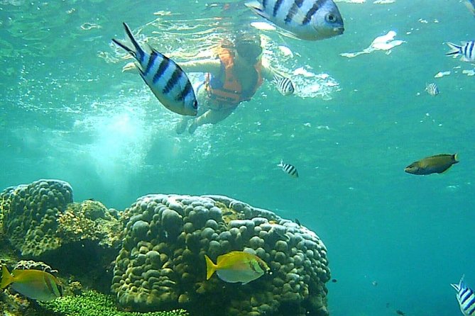Mr. Tu Day Trip to Angthong Marine Park by Speed Boat from Koh Samui - Who should book this Angthong trip?