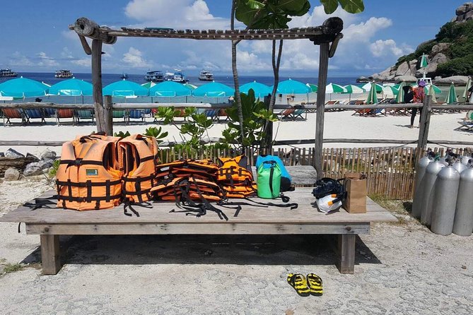 Mr. Tu Snorkel Day Trip to Koh Nangyuan & Koh Tao by Speed Boat from Koh Samui - Who should book this trip?