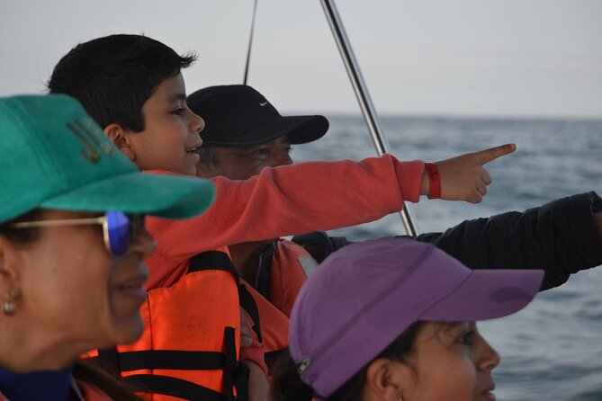Munba Ballena Tour by Power Boat - The MUNBA National Whale Museum adds context