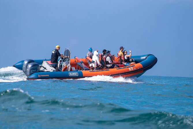 Munba Ballena Tour by Power Boat - What the $104.07 price really buys you