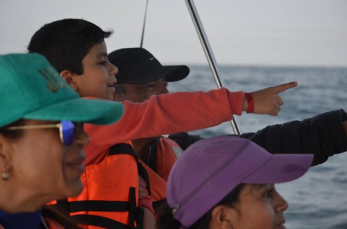 Munba Ballena Tour by Power Boat - The strongest reason to book
