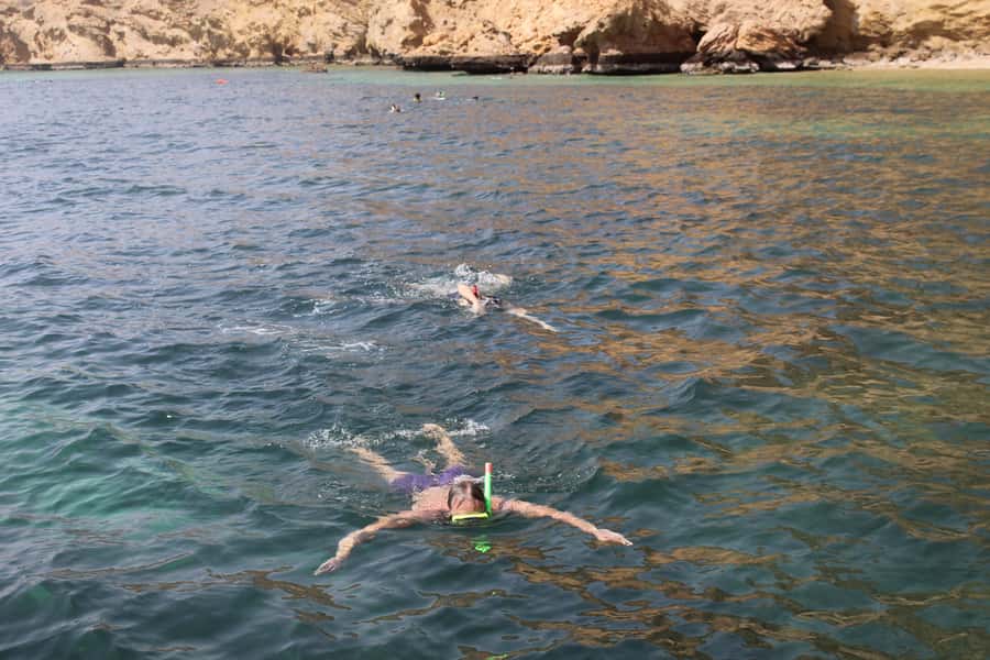 Muscat: Dolphin Watching and Snorkeling Tour By Speed Boat - The dolphin search can shape your whole morning