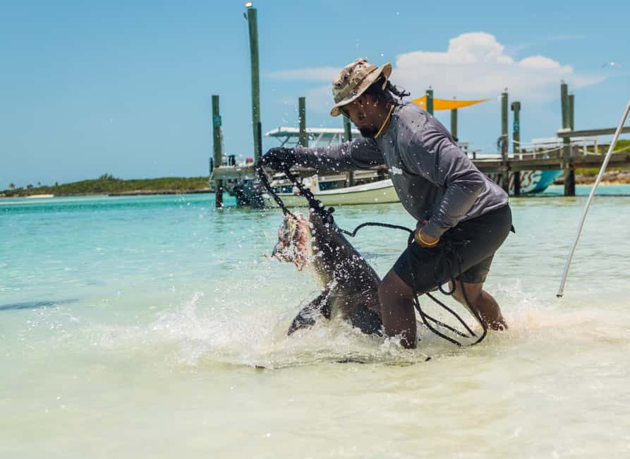 Nassau: Exuma Powerboat Day Trip - The one-hour ride from Nassau to Ship Channel Cay