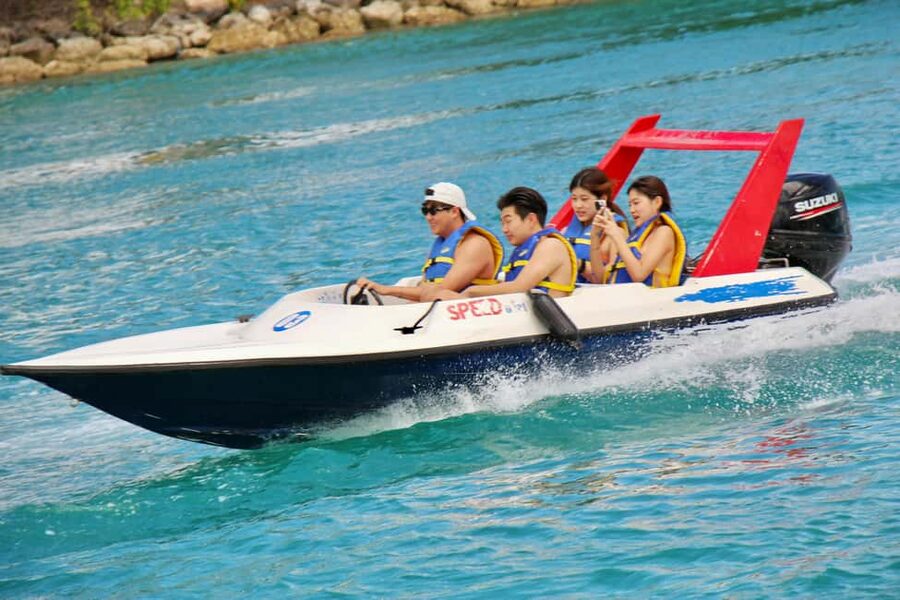 Nassau: Self-Drive Speedboat Ride and Pig Swimming Encounter - Meeting the pigs on a small beach