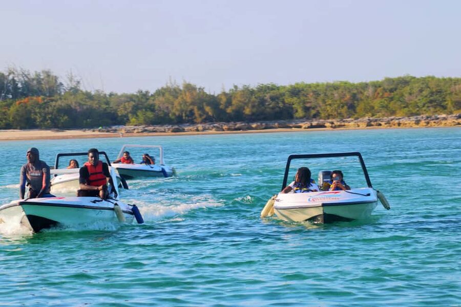Nassau: Self-Drive Speedboat Ride and Pig Swimming Encounter - Snorkeling in clear Bahamian water