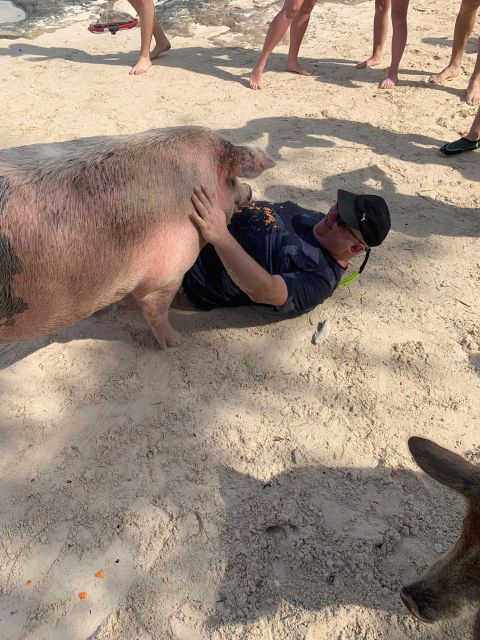 Nassau: Self-Drive Speedboat Ride and Pig Swimming Encounter - Getting to the meeting point without stress