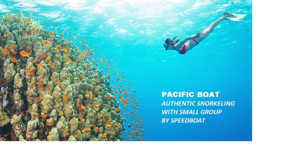 Nha Trang: Island-Hopping & Snorkeling Day Trip by Speedboat - Yen Island and a second look beneath the water