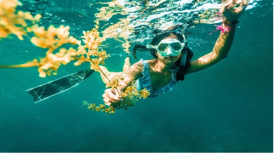 Nha Trang: Island-Hopping & Snorkeling Day Trip by Speedboat - Who will enjoy this boat trip most