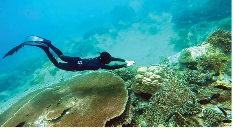 Nha Trang: Island-Hopping & Snorkeling Day Trip by Speedboat - Booking advice and cancellation flexibility