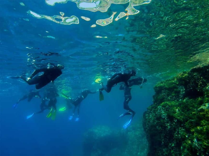 Nice: Snorkeling Speedboat Tour in Villefranche Bay - Leaving the Port of Nice by speedboat