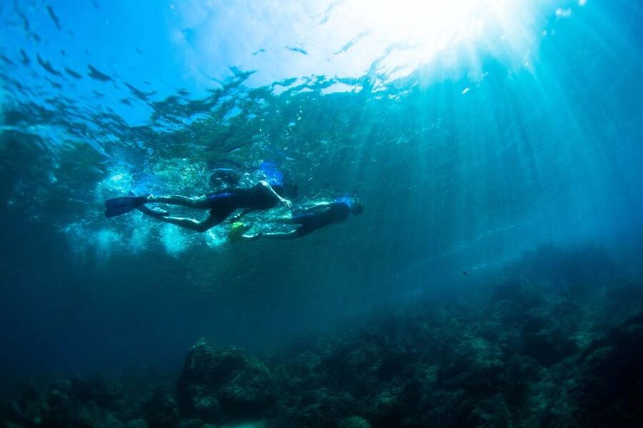 Nice: Snorkeling Speedboat Tour in Villefranche Bay - What the guides add to the experience