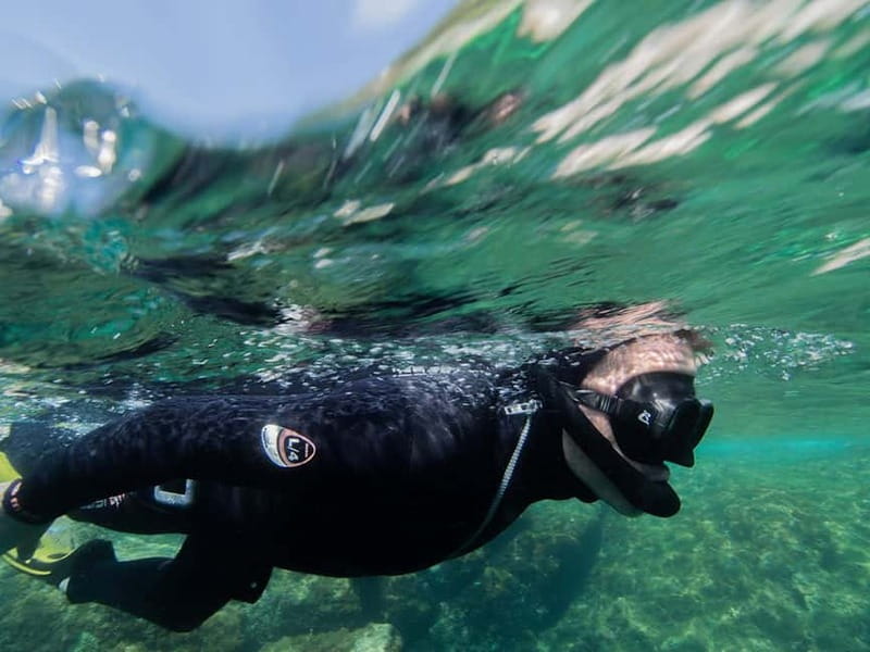 Nice: Snorkeling Speedboat Tour in Villefranche Bay - Is $70 good value for 90 minutes?