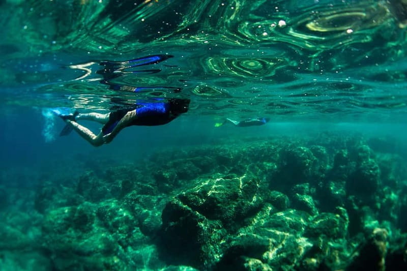 Nice: Snorkeling Speedboat Tour in Villefranche Bay - Villefranche Bay: clear water and changing conditions