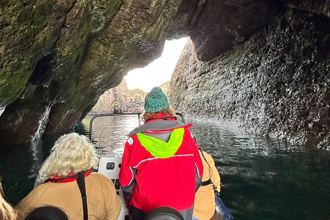 Northern Islands RIB Tour - A guide who teaches as he pilots