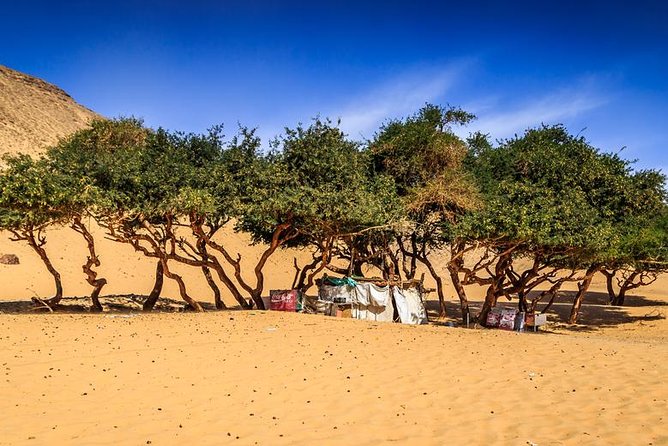 Nubian Village by Motorboat In Aswan - The crocodile house and a memorable local detail