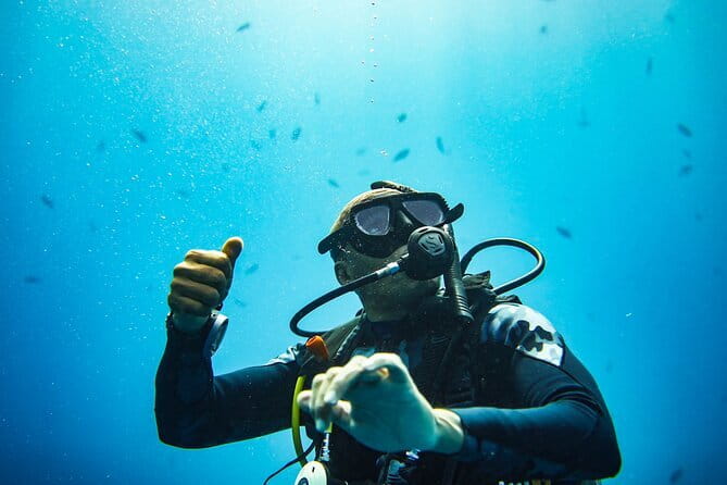 Nusa Penida Private Diving Tour by Speedboat - Key points at a glance
