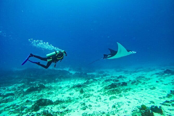 Nusa Penida Private Diving Tour by Speedboat - A proper lunch stop at Lembongan Lagoon