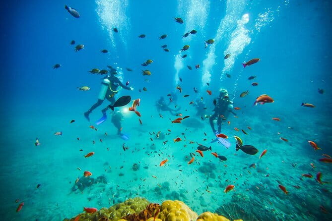 Nusa Penida Private Diving Tour by Speedboat - Weather is part of the decision