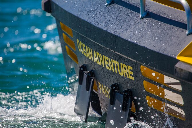 Ocean Adventure: Fast Boat to the Hole in the Rock - Waewaetorea Island and the passage to the open bay
