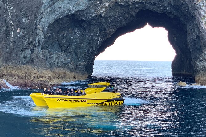 Ocean Adventure: Fast Boat to the Hole in the Rock - Cape Brett and the approach to Motukōkako Island