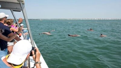 Ocean City, MD: Coastal Speedboat Tour with Dolphin Spotting