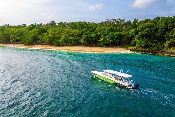 Ocho Rios Powerboat & Dunn’s River Falls Adventure - Why this Ocho Rios day works well