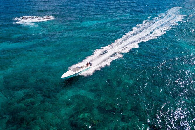 Ocho Rios Powerboat & Dunn’s River Falls Adventure - Lunch and the value of the $240 price